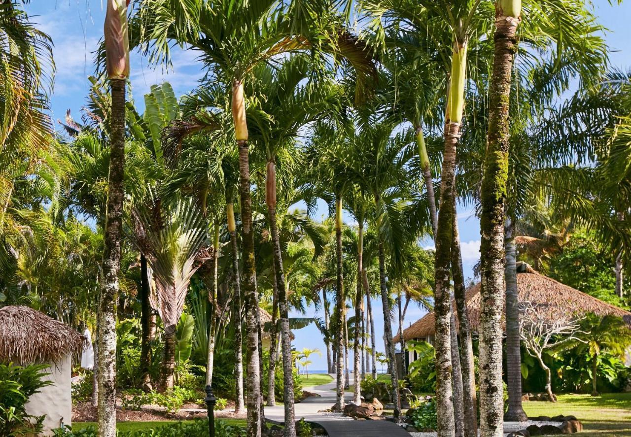 Motu Beachfront Art Villas Rarotonga Exterior foto